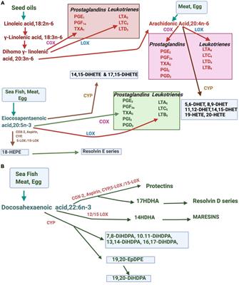 Maternal Fatty Acid Metabolism in Pregnancy and Its Consequences in the Feto-Placental Development